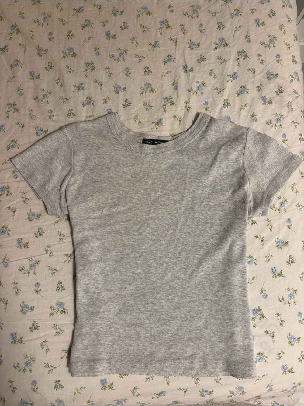 Brandy Melville Light Grey Baby Tee